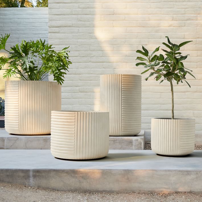 Planter Pots