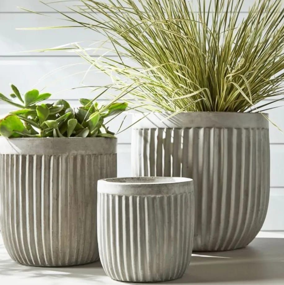 Planter Pots