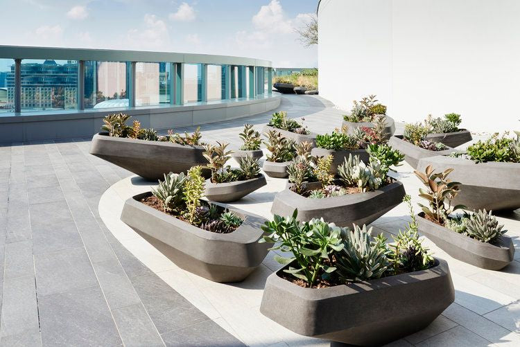Planter Pots
