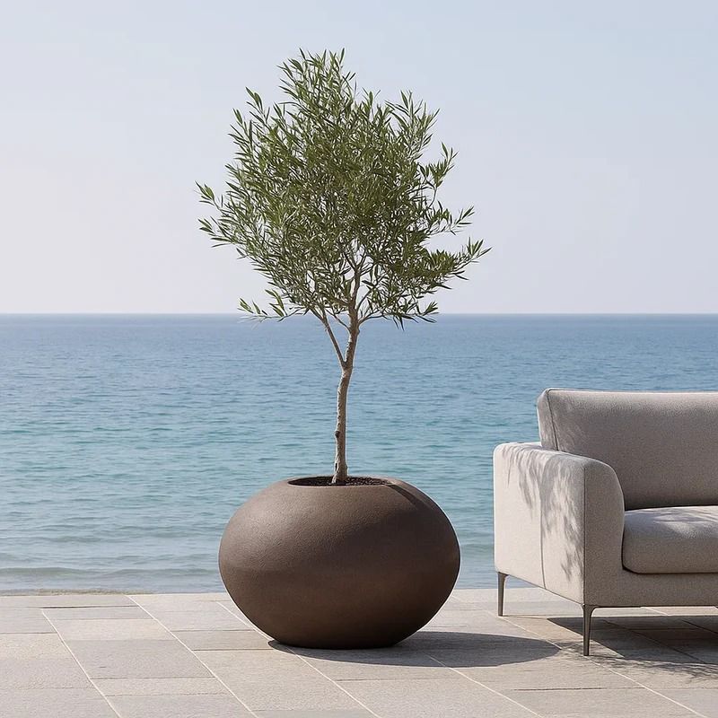Planter Pots