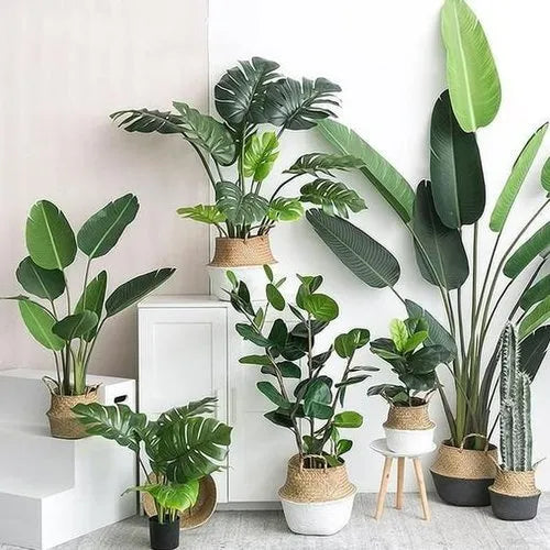 Artifical Plants
