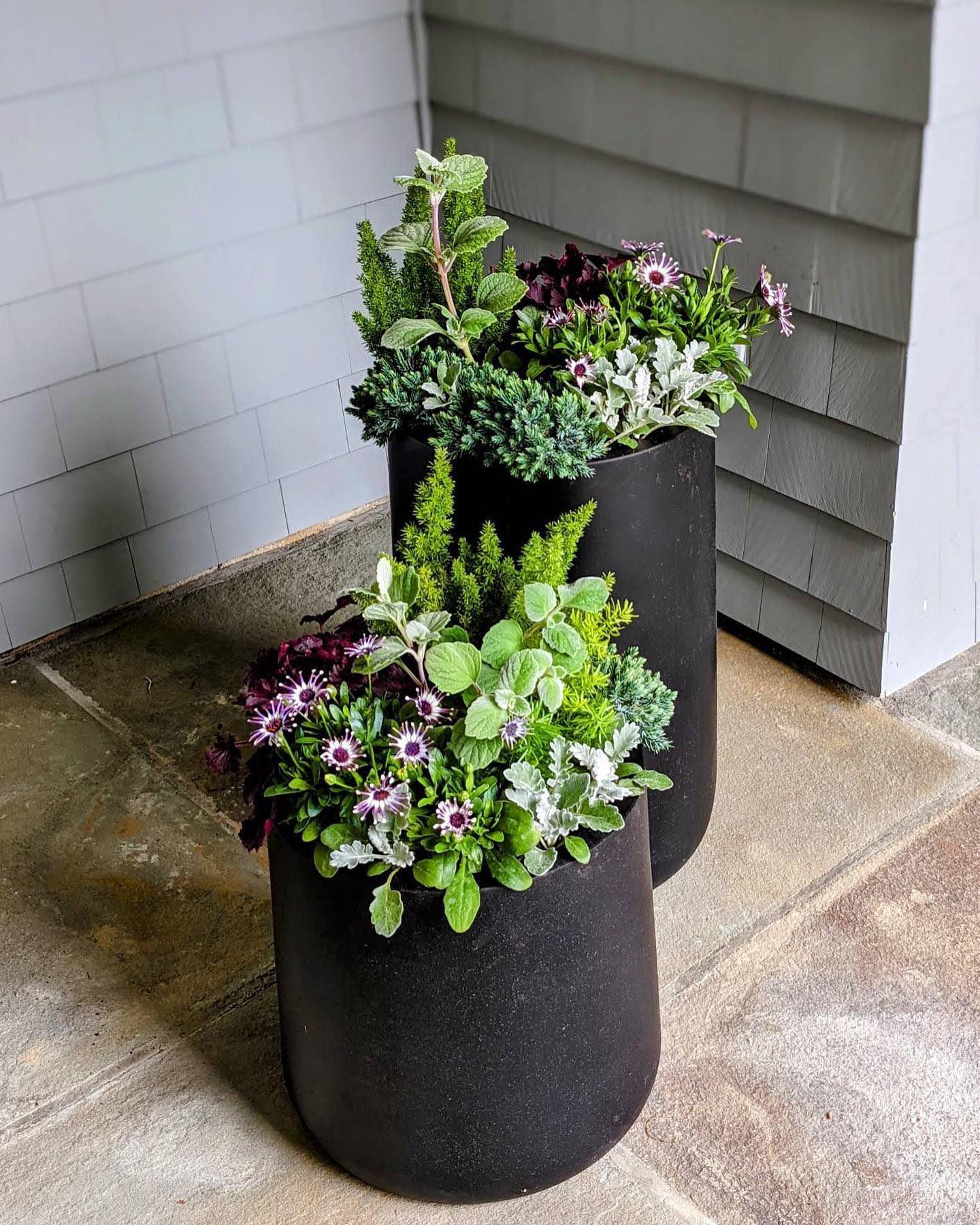 أواني الزراعة