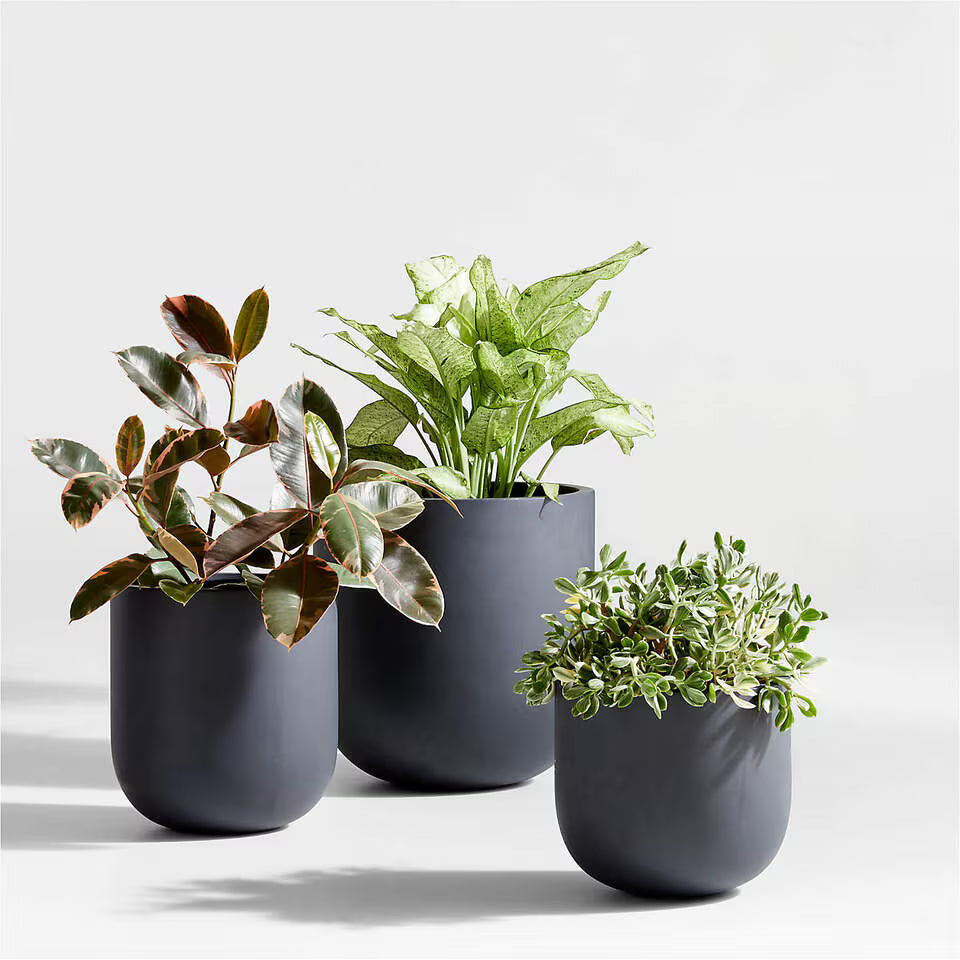 Planter Pots