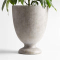 Planter Pots