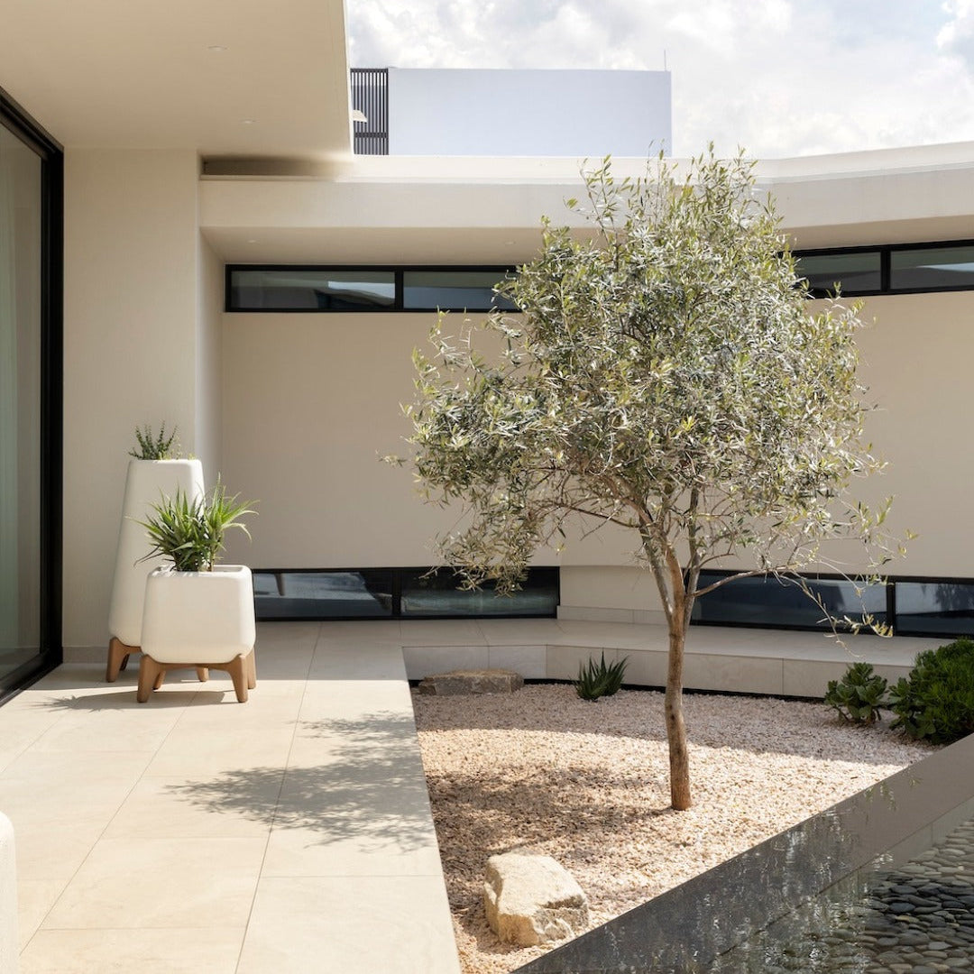 أواني الزراعة