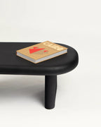 Modern Fiberglassl Coffee Table