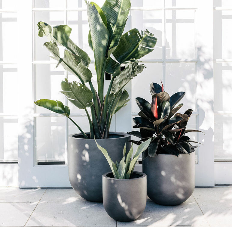 Planter Pots