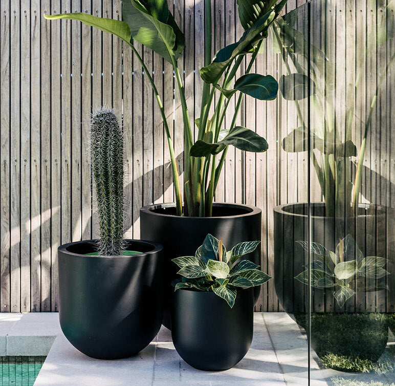 Planter Pots