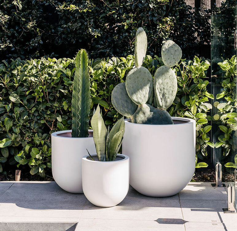 Planter Pots