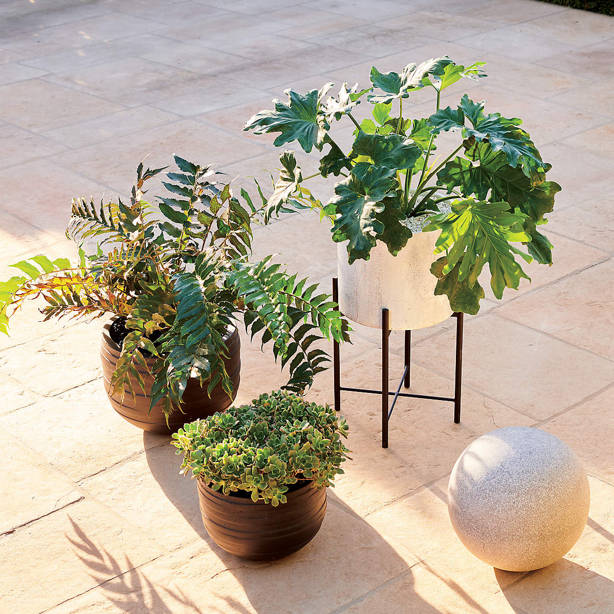 Planter Pots