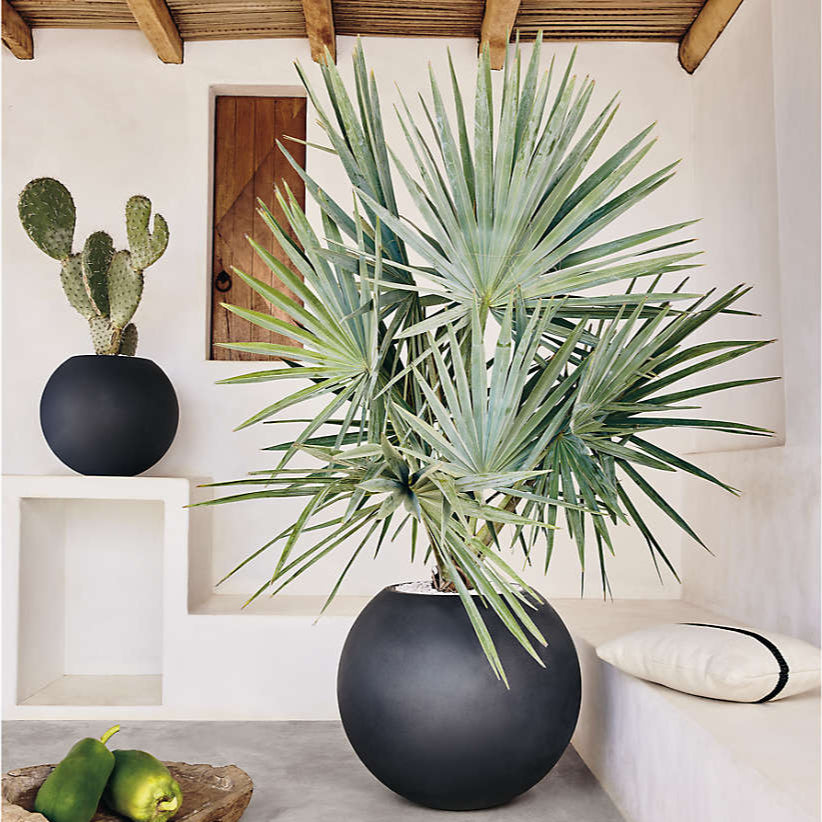 Planter Pots