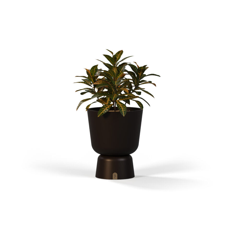 Planter Pots
