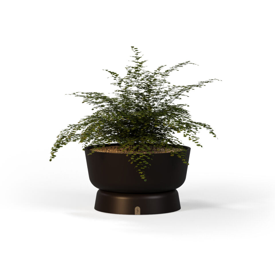 Planter Pots