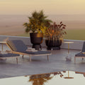 Planter Pots