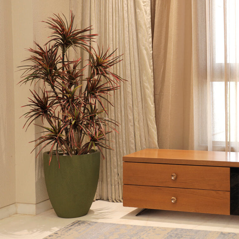 Planter Pots