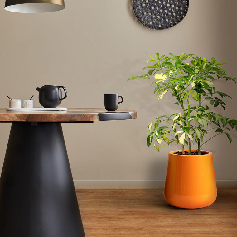 Planter Pots