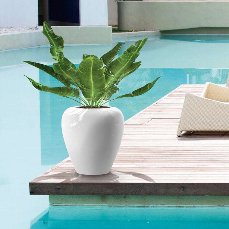 أواني الزراعة