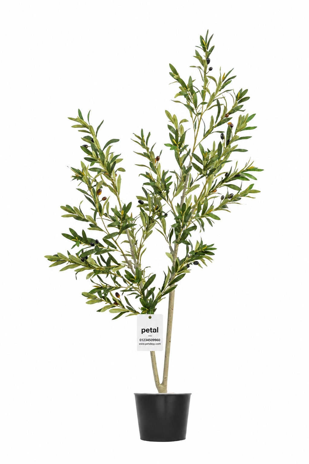 Artificial Plants