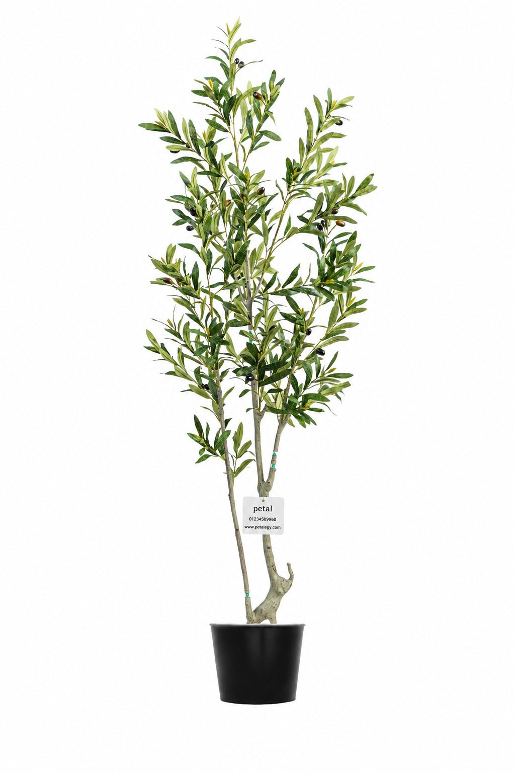 Artificial Plants