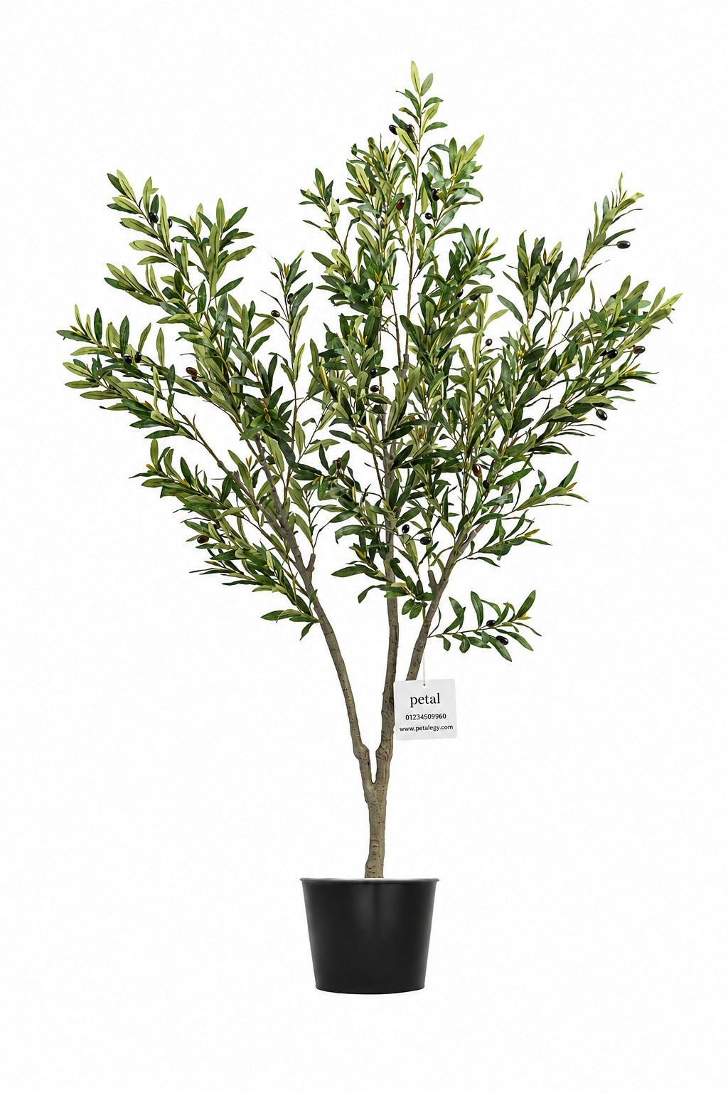 Artificial Plants