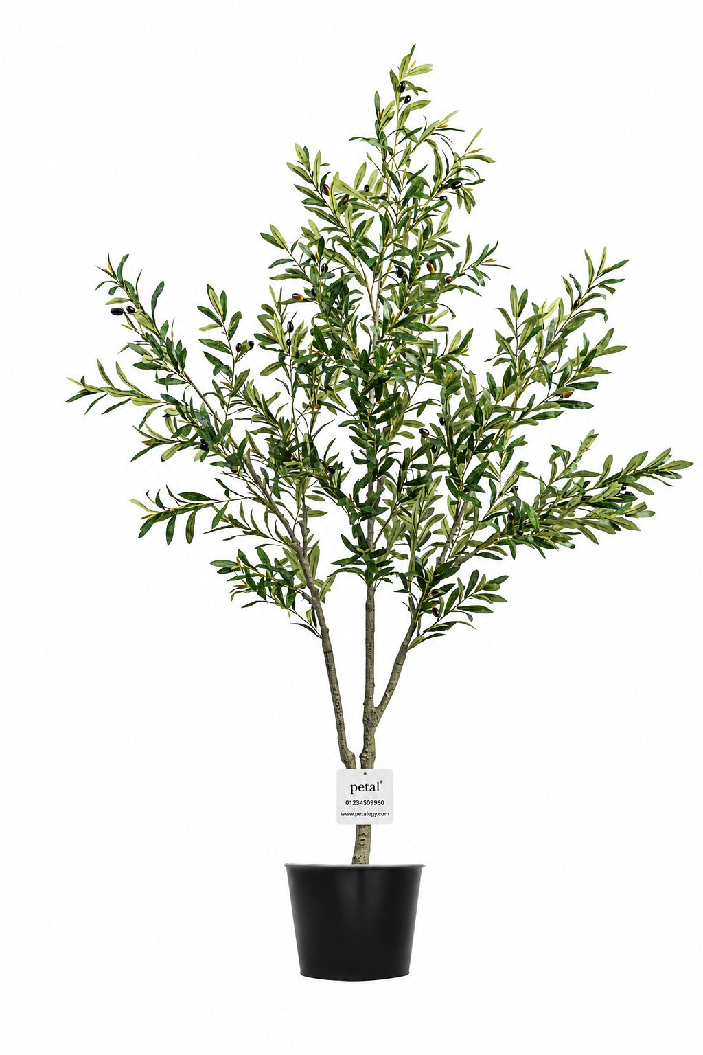 Artificial Plants