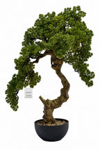 Artificial Plants