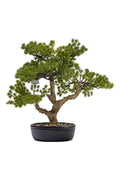Artificial Plants