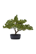 Artificial Plants