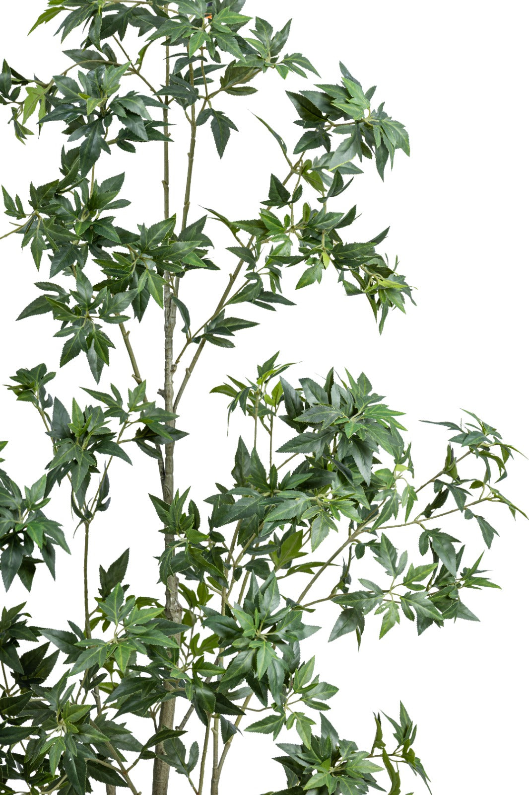 Artificial Plants