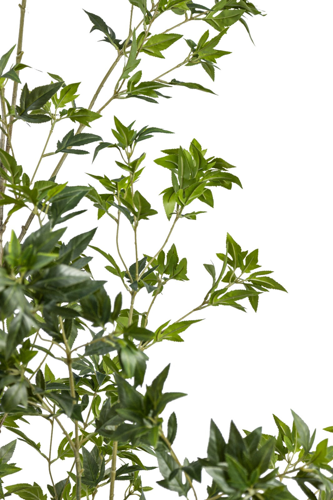 Artificial Plants