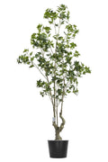 Artificial Plants