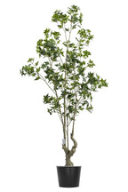 Artificial Plants