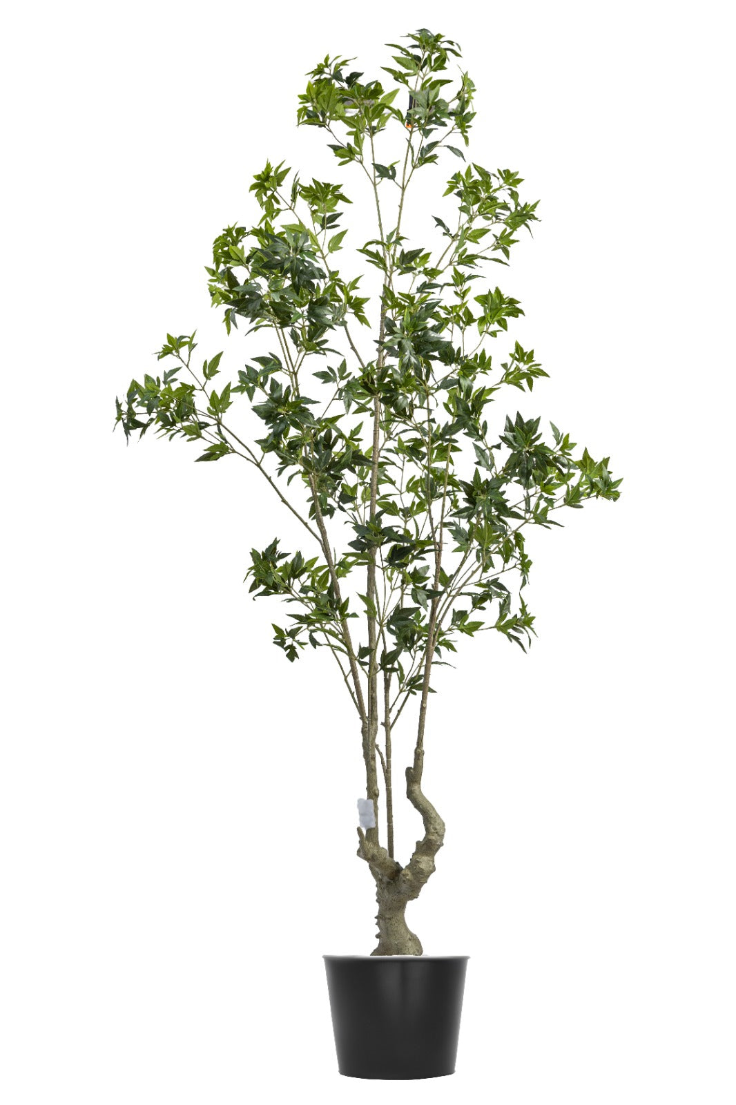 Artificial Plants
