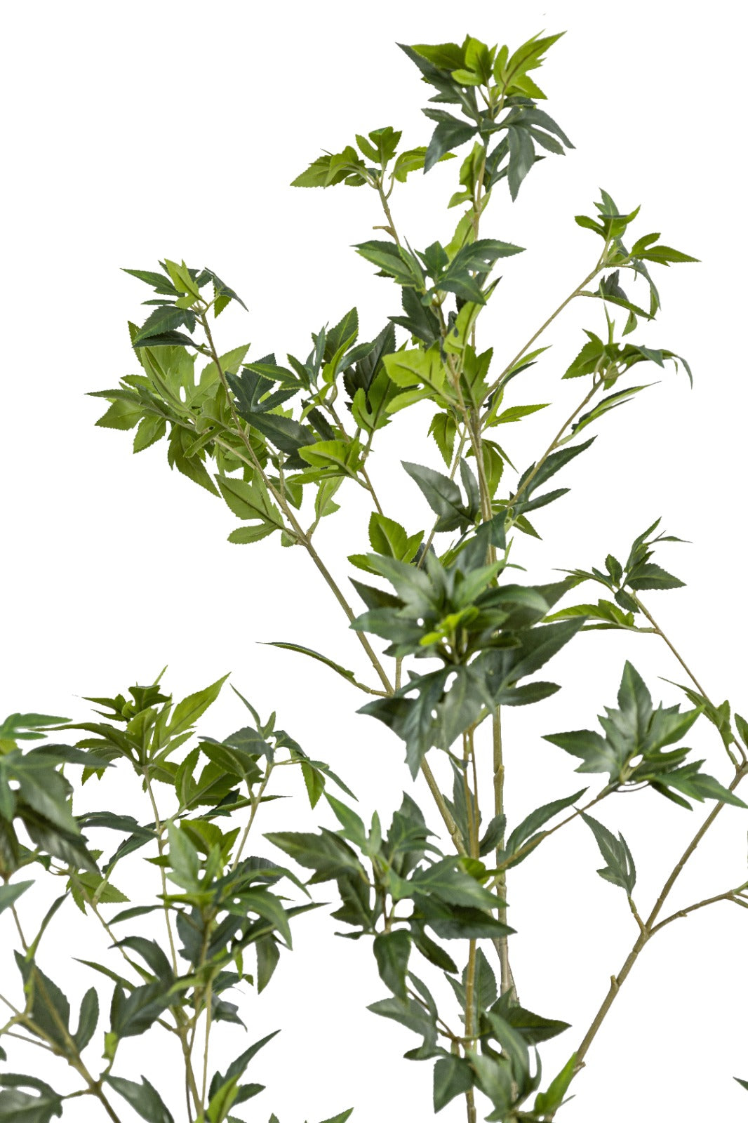 Artificial Plants