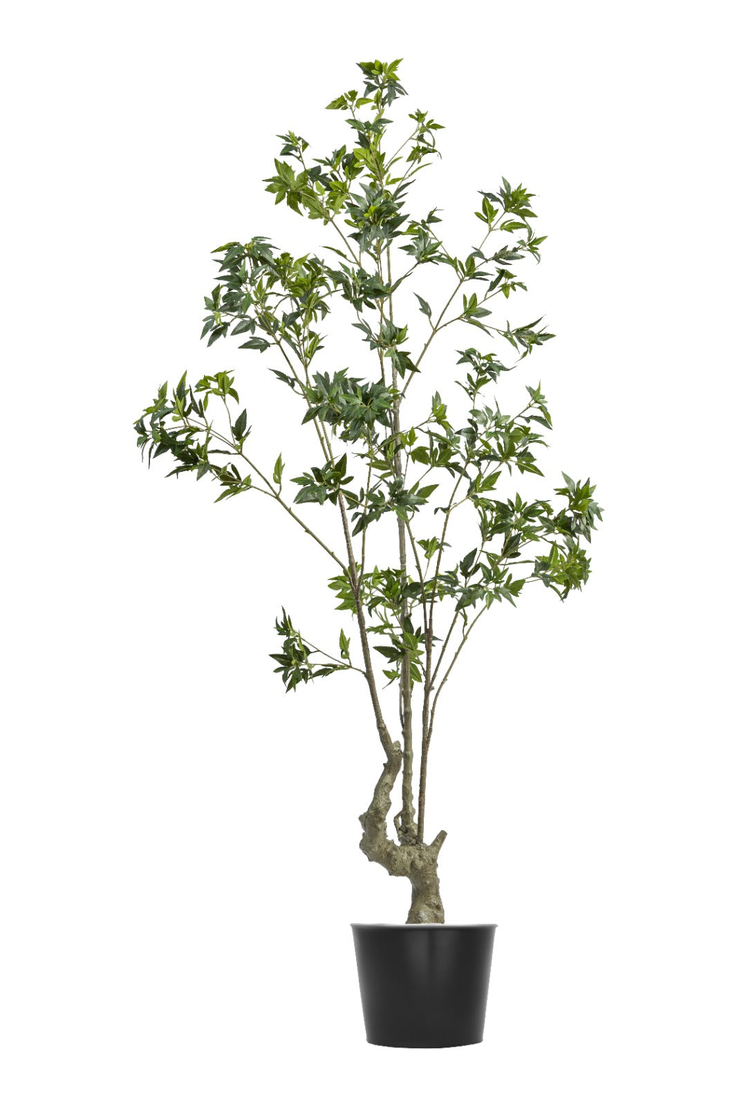 Artificial Plants