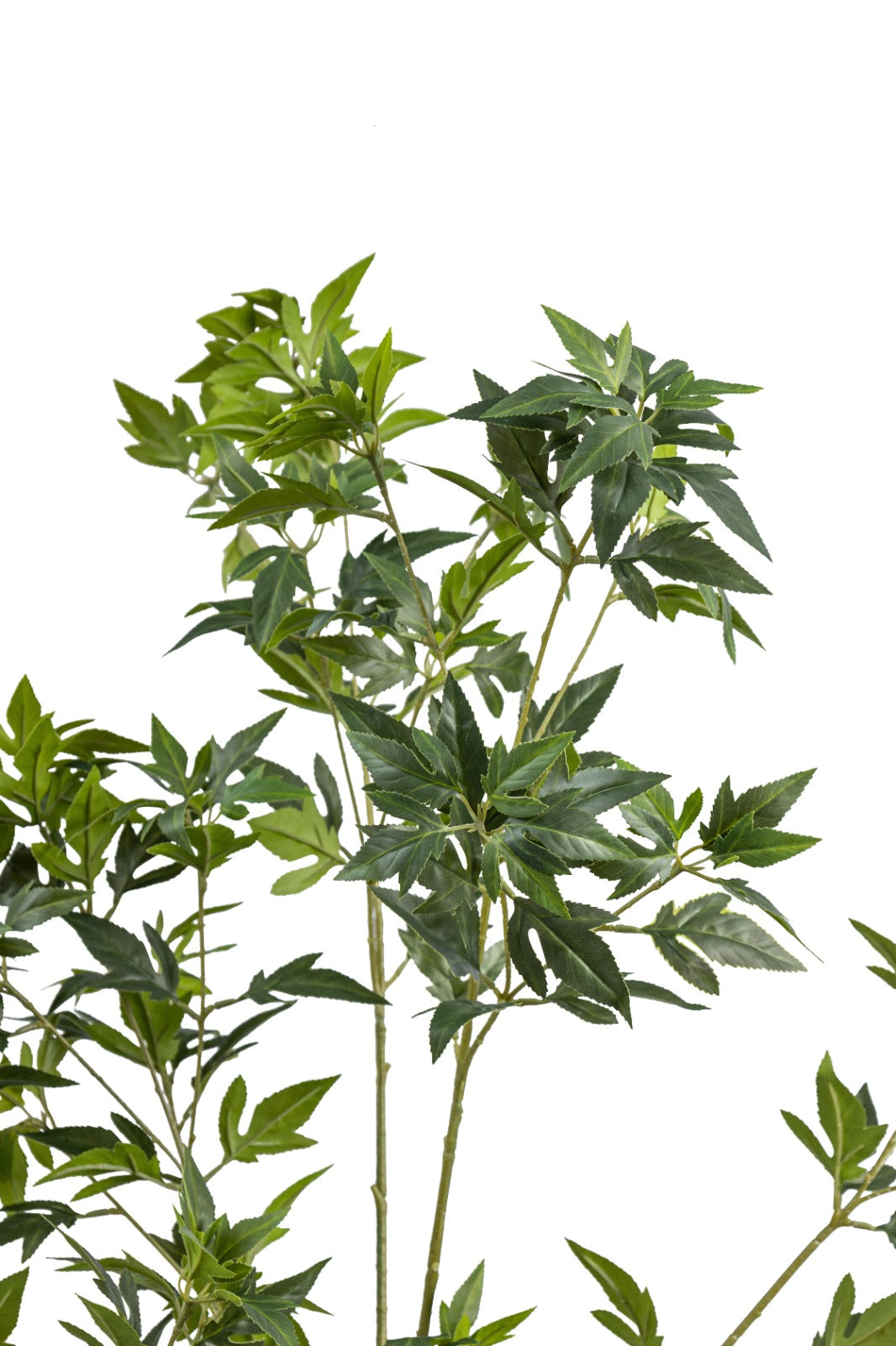 Artificial Plants