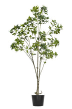 Artificial Plants