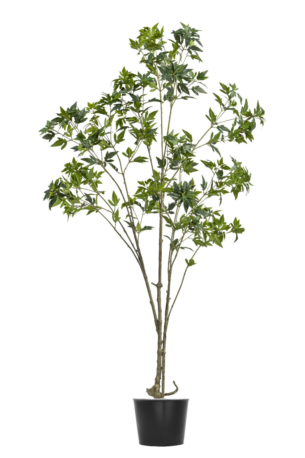 Artificial Plants