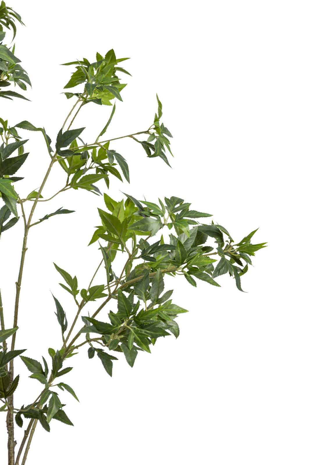 Artificial Plants