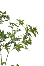 Artificial Plants