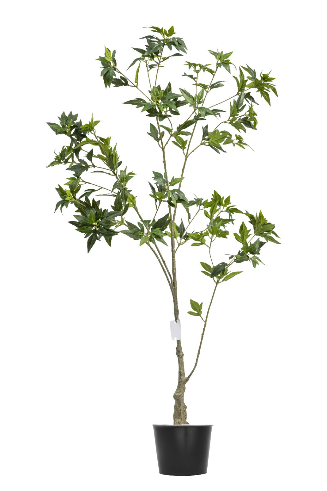 Artificial Plants