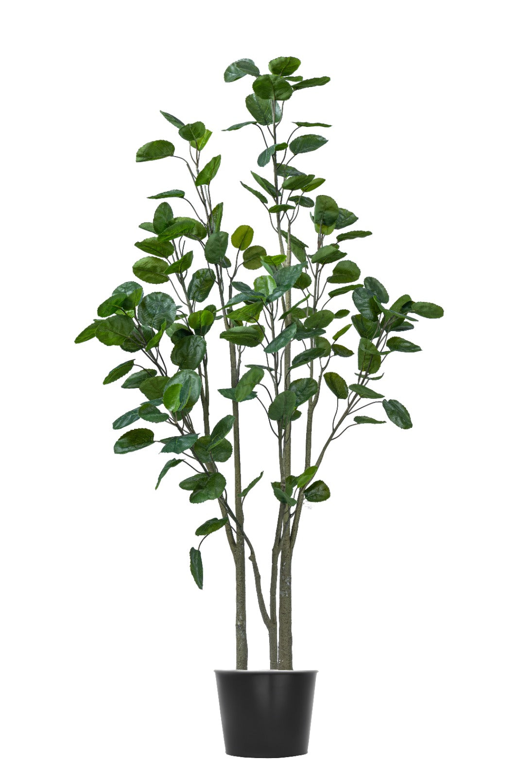 Artificial Plants
