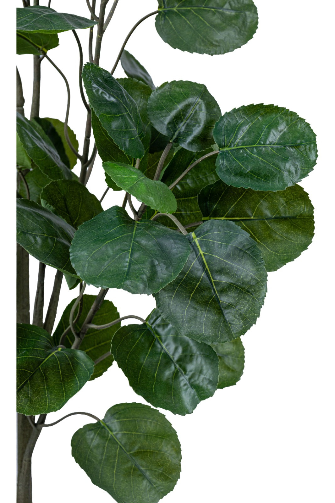 Artificial Plants
