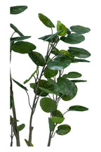 Artificial Plants