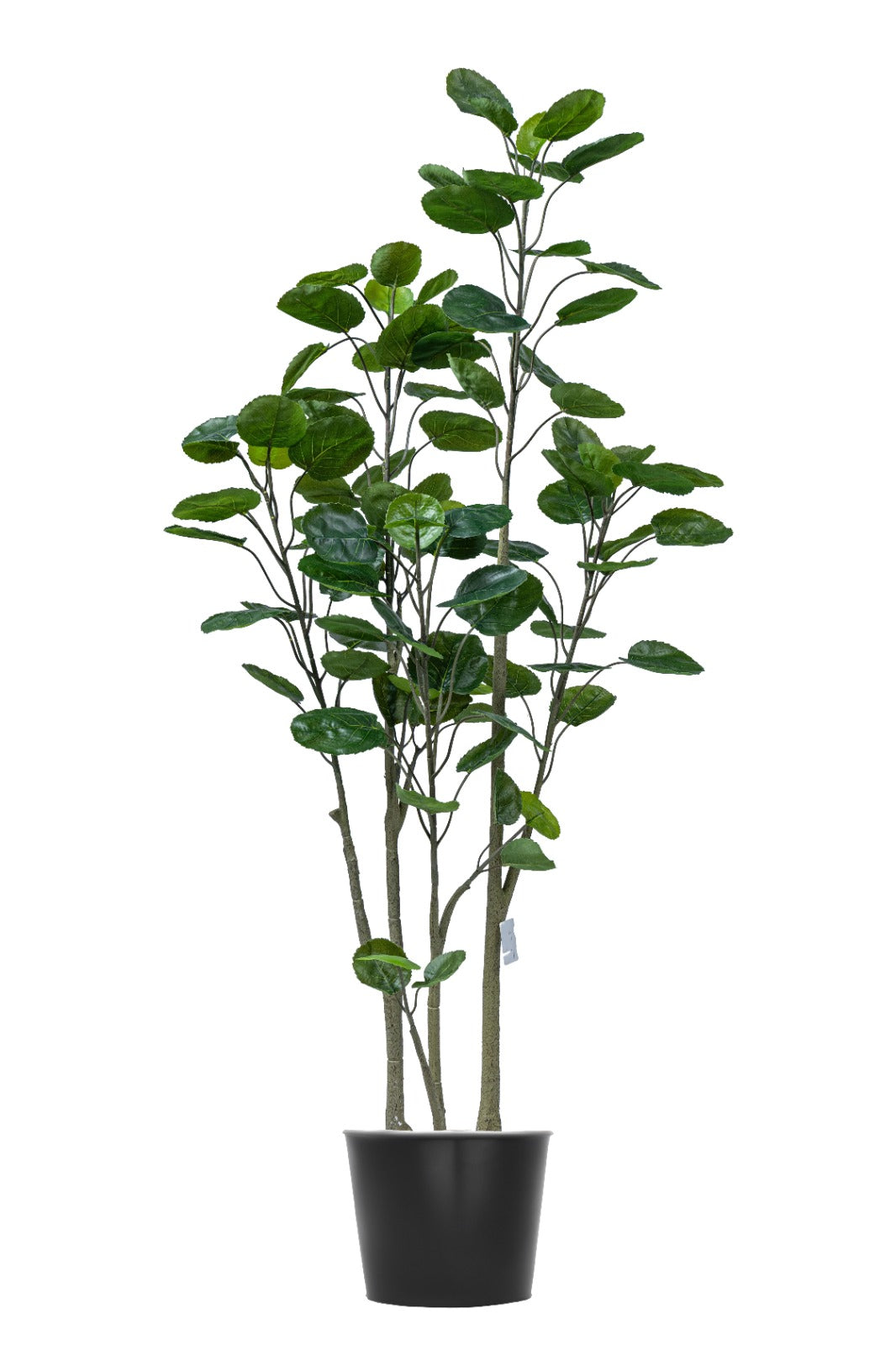 Artificial Plants