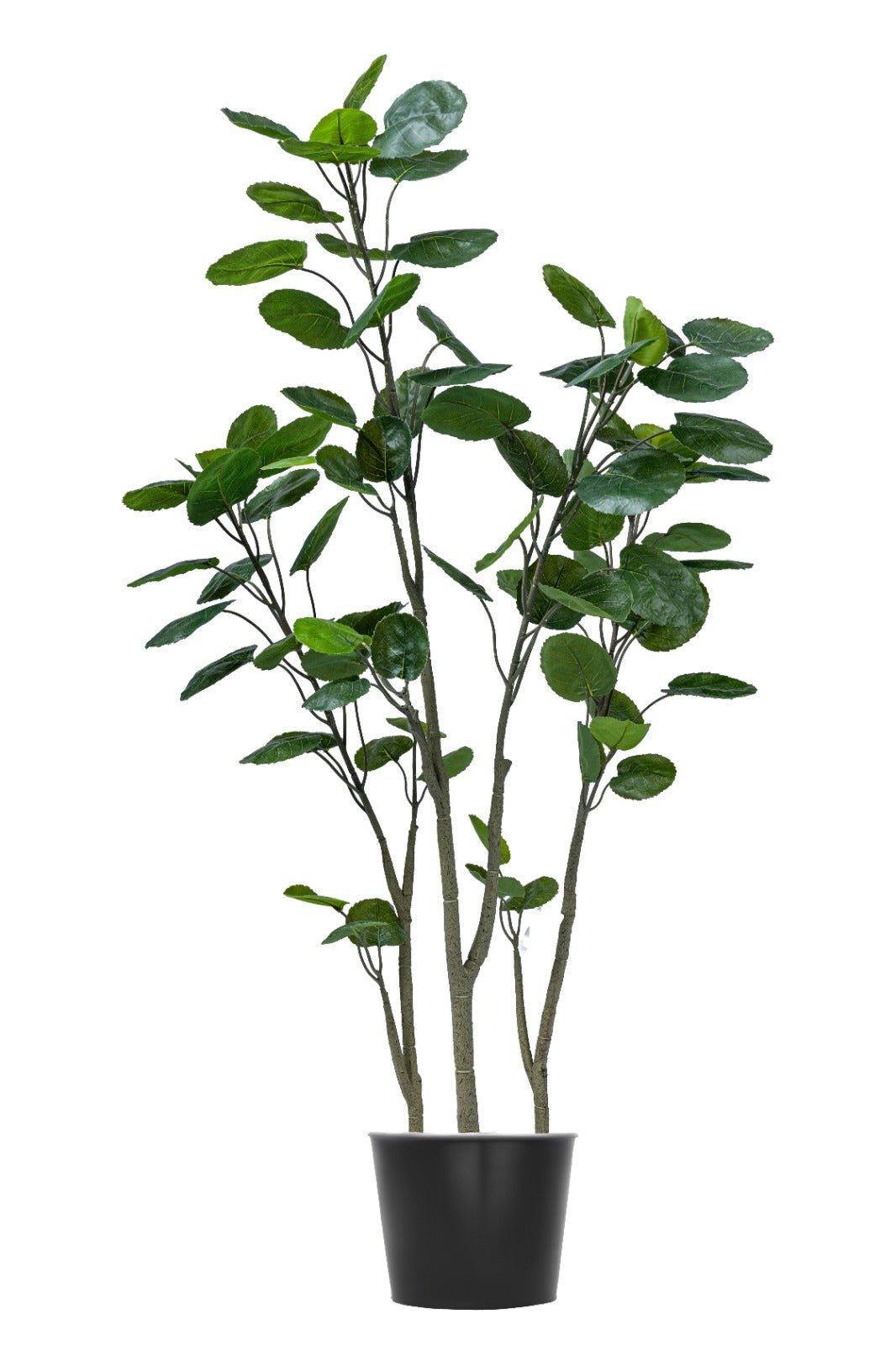 Artificial Plants