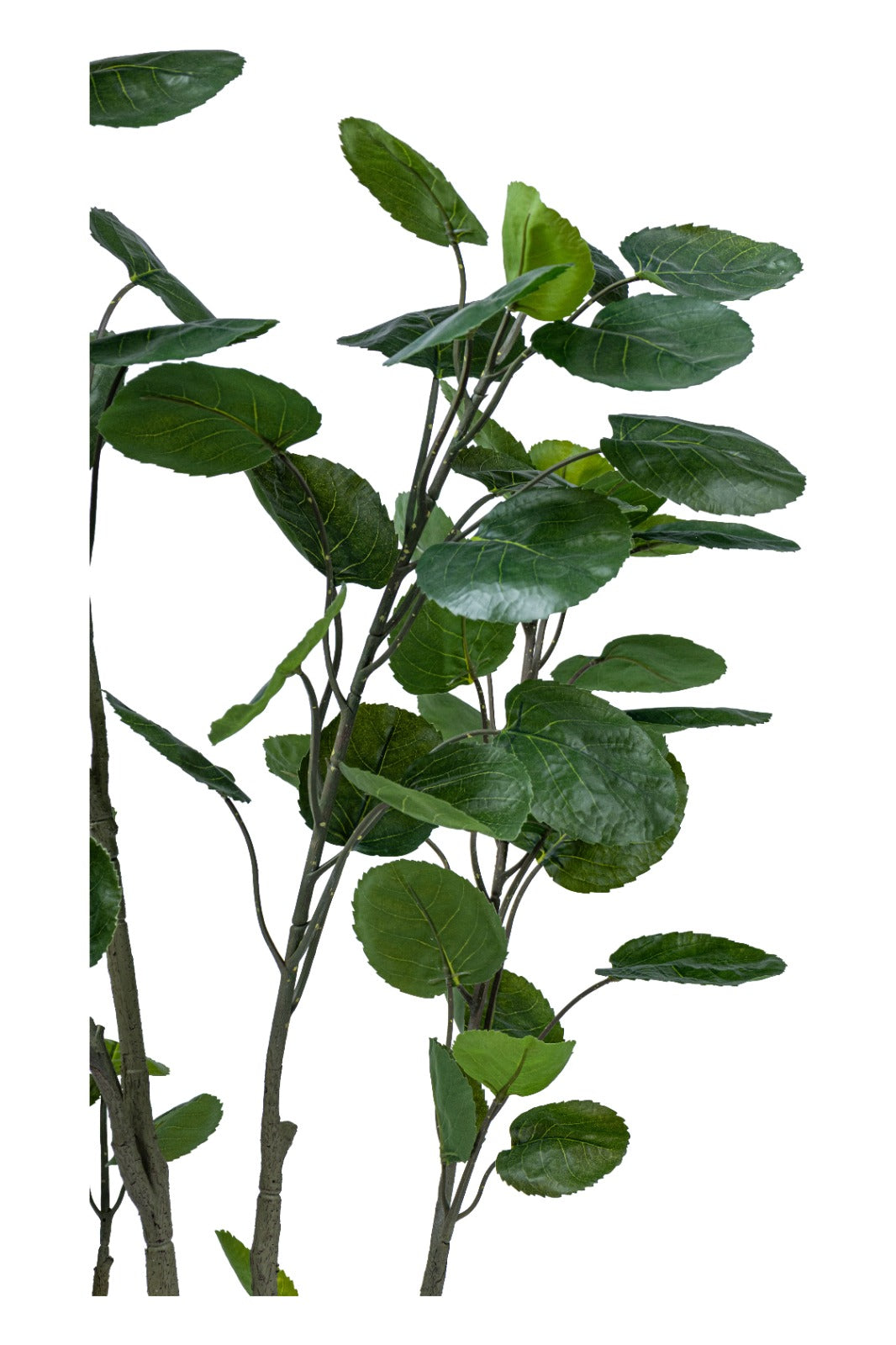 Artificial Plants