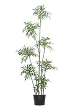 Artificial Plants
