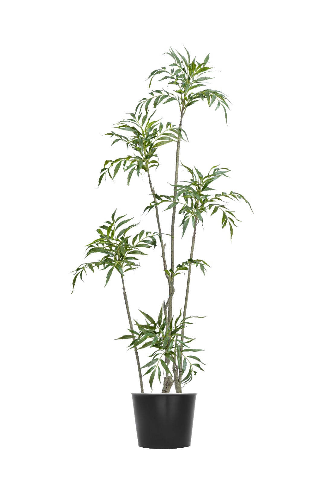 Artificial Plants