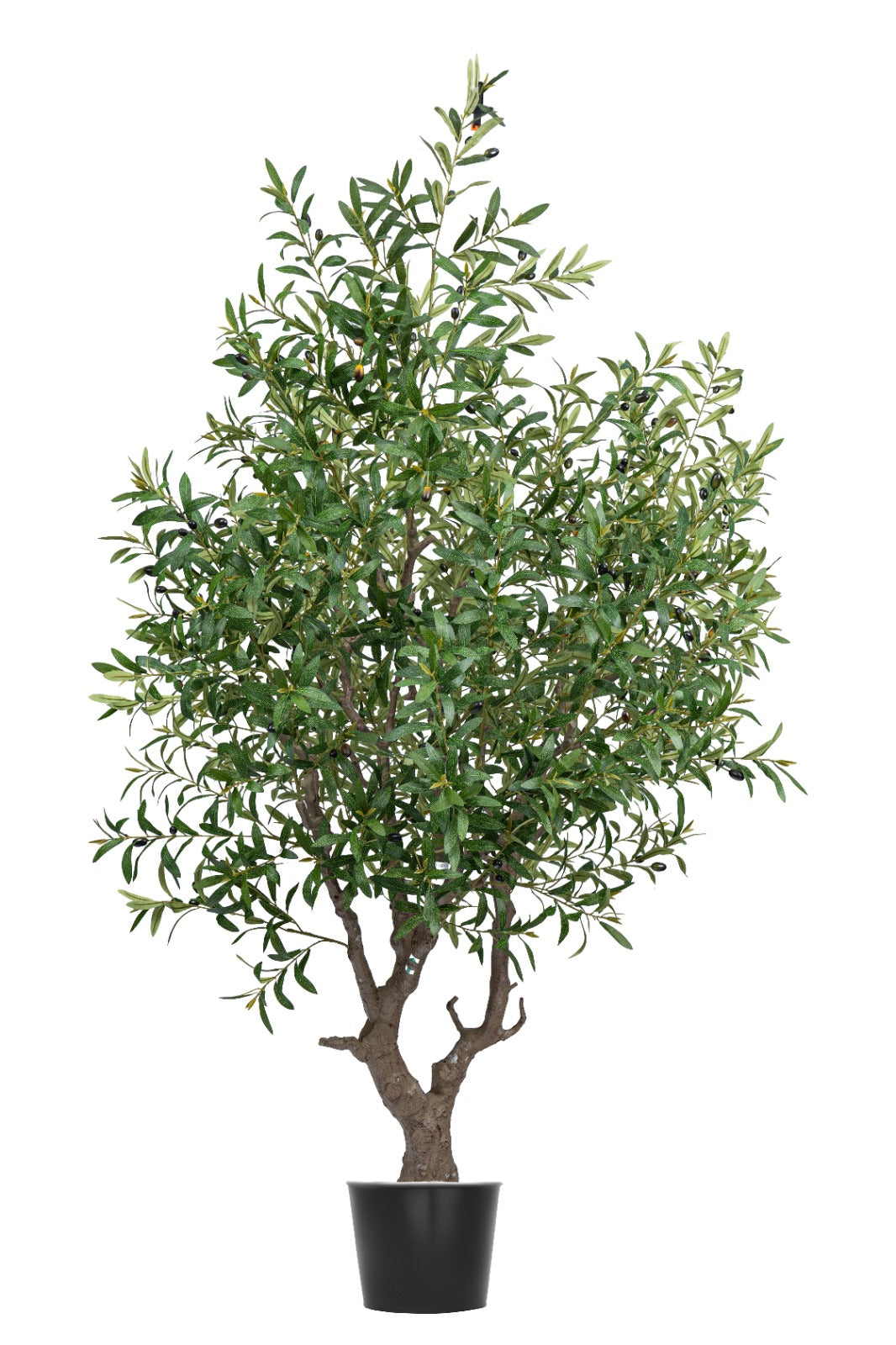 Artificial Plants
